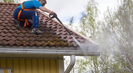 Gutter Cleaning